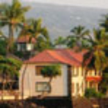 Genuine Ripe Kimchi Pork Belly